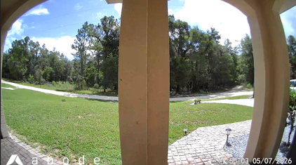 Doorbell camera view