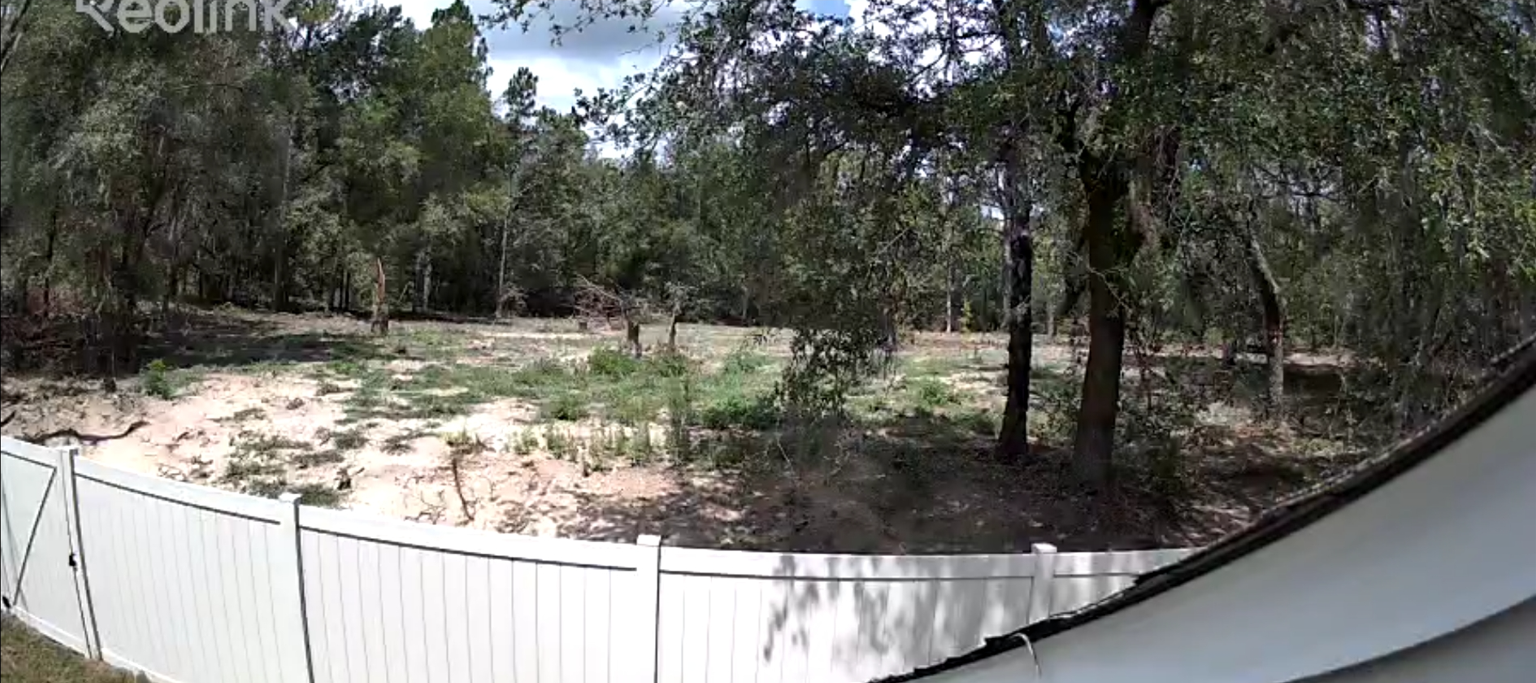 Rear lot camera view
